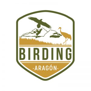 Birding Aragón Turismo ornitológico 