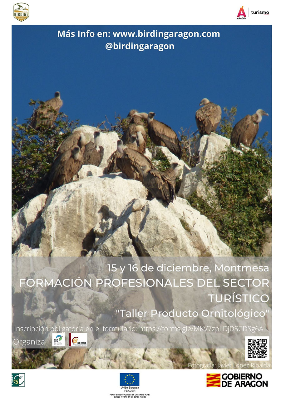 Hoya de Huesca acoge un nuevo taller de formación Birding Aragón La próxima formación tendrá lugar los días 15 y 16 de diciembre en Montmesa (Hoya de Huesca) y está dirigida a profesionales del sector turístico. 